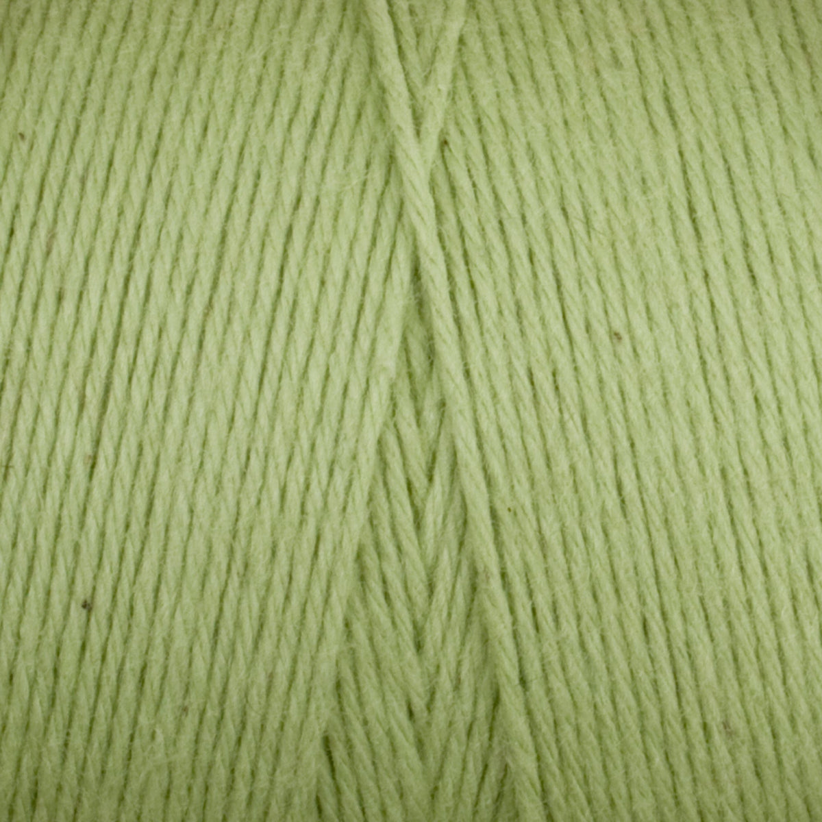 Close-up of pale green Great Northern Weaving Cotton Carpet Warp 8/4, highlighting the tightly wound fine 4-ply cotton strands and textured parallel lines.