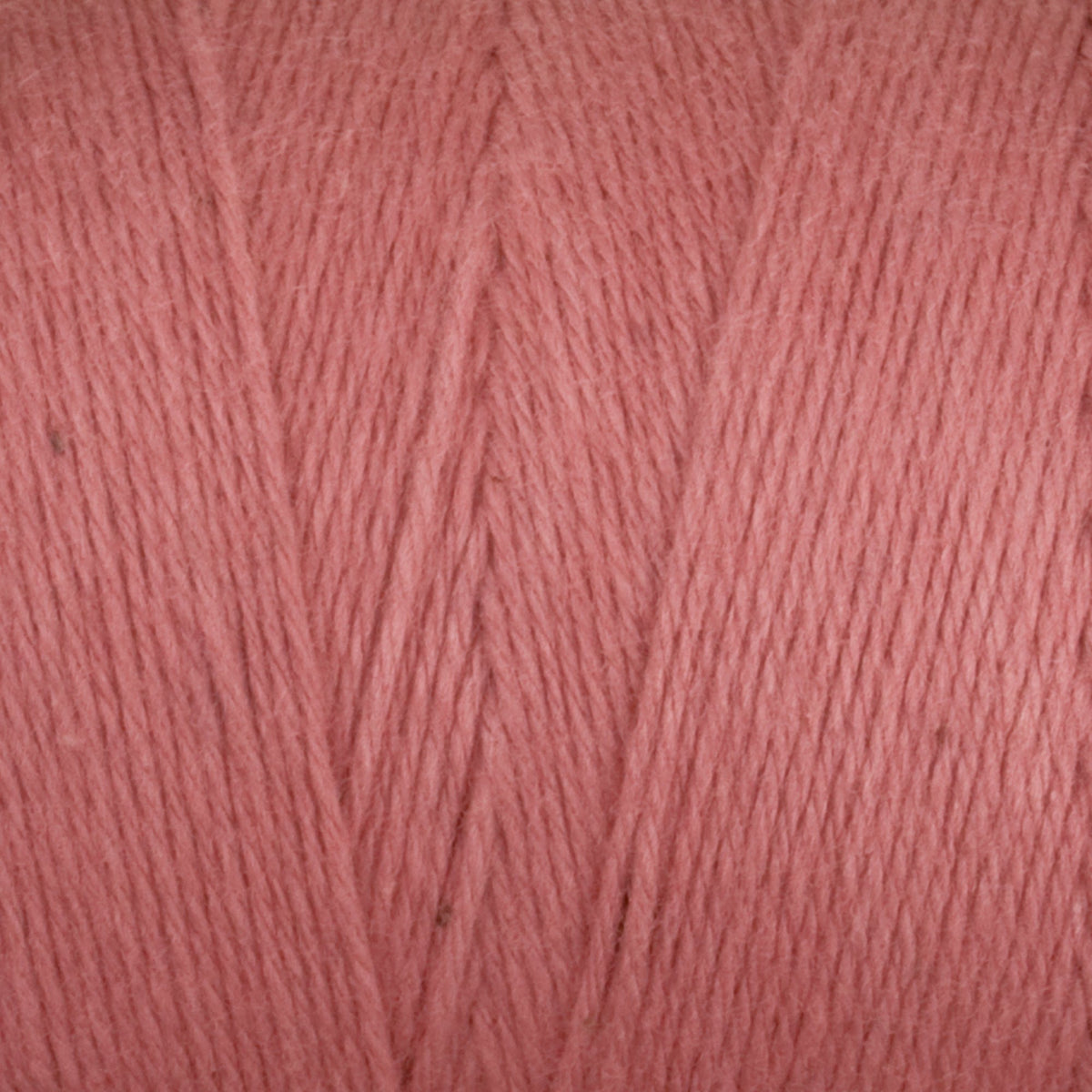 Close-up of Great Northern Weaving's Cotton Carpet Warp 8/4 in pink, showing the textured 4-ply cotton strands and diagonal winding—perfect warp yarn for rug making.
