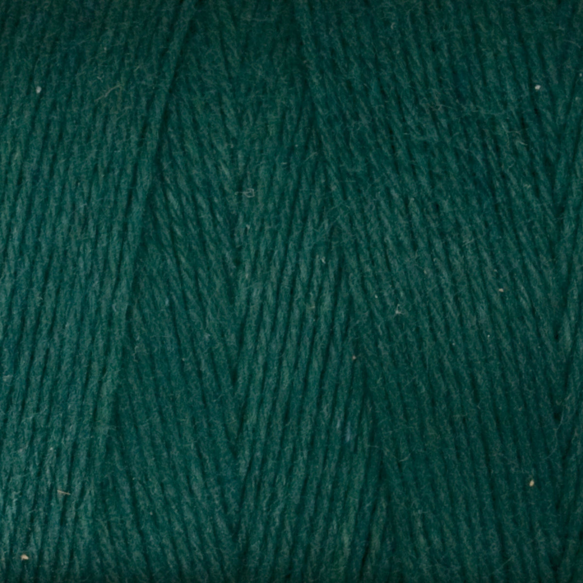 Close-up of dark green Great Northern Weaving Cotton Carpet Warp 8/4, highlighting the texture and individual strands of the tightly spun 4-ply cotton fibers.