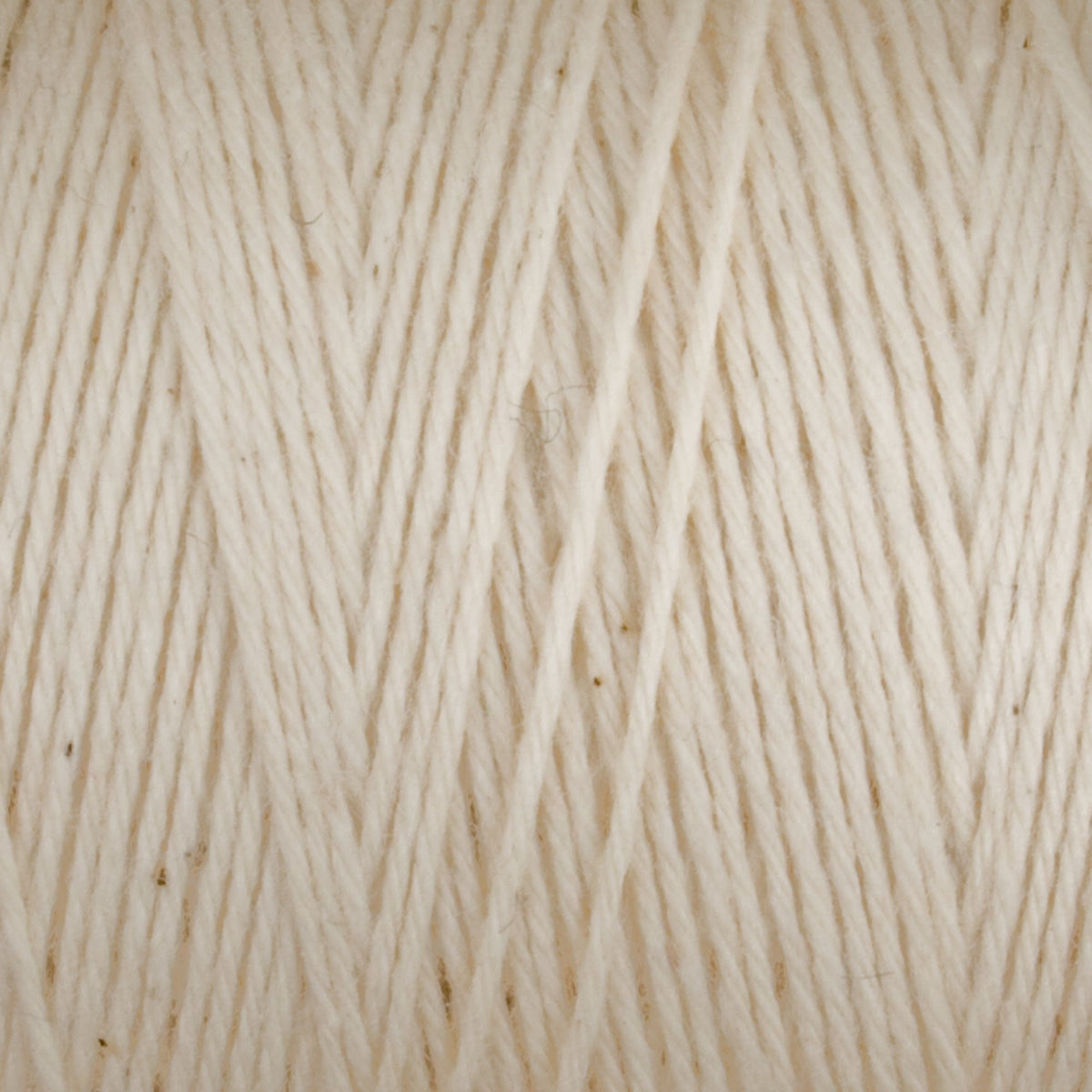 Close-up of Great Northern Weaving's Cotton Carpet Warp 8/4 in cream, showing its 4-ply cotton yarn wound in parallel strands for a textured, crisscross pattern with a soft, fibrous look.