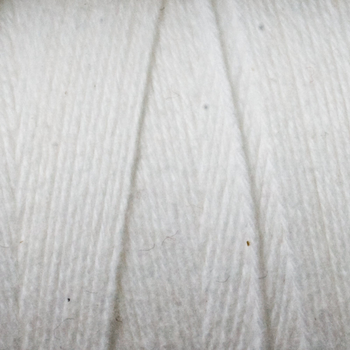 Close-up of Great Northern Weaving Cotton Carpet Warp 8/4, showing tightly wound white 4-ply cotton yarn with fine texture and parallel strands.