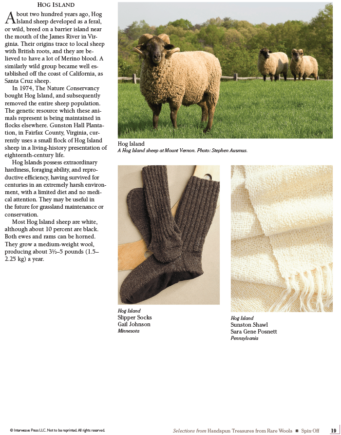 Long Thread Media Books Spin Off Presents: Selections from Handspun - Treasures from Rare Wools - eBook Printed Copy