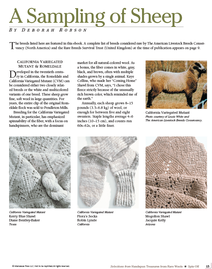 Long Thread Media Books Spin Off Presents: Selections from Handspun - Treasures from Rare Wools - eBook Printed Copy