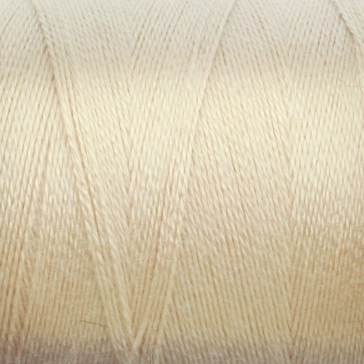 Maurice Brassard Yarn Coquille 8/2 Tencel Yarn | Tube