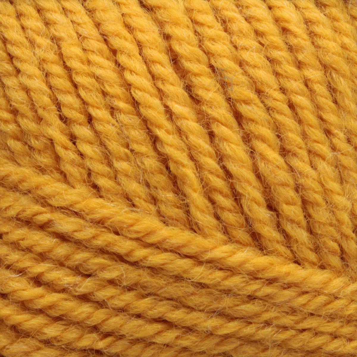 Plymouth Yarn Co. Yarn Golden Glow Plymouth Encore Worsted Yarn