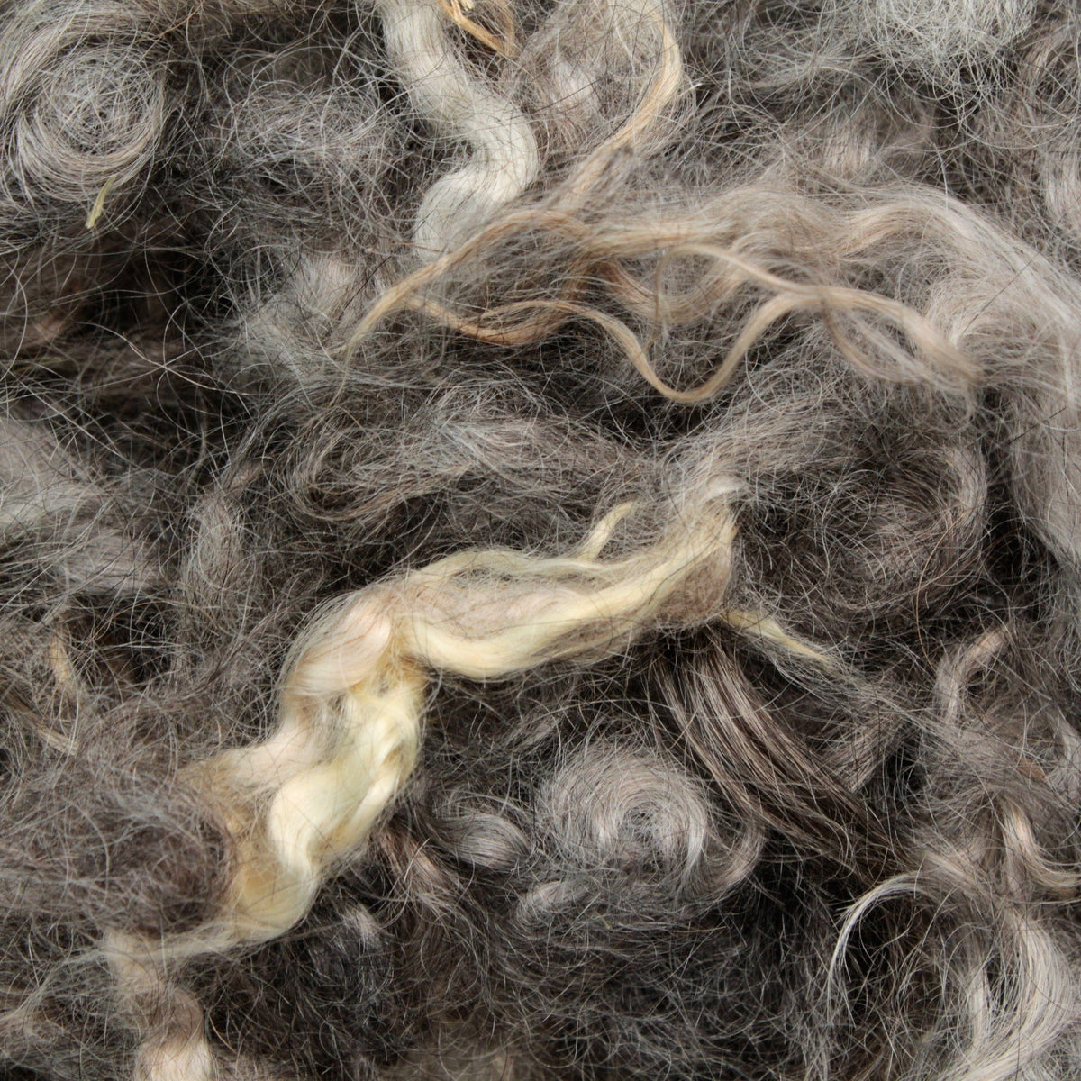 Close-up of Prairie Lake Farm's Kid Mohair Locks & Loose Fiber (sold by the ounce), showing unprocessed, curly fibers from angora goats in natural gray, brown, and cream tones with a tangled texture and color variation.