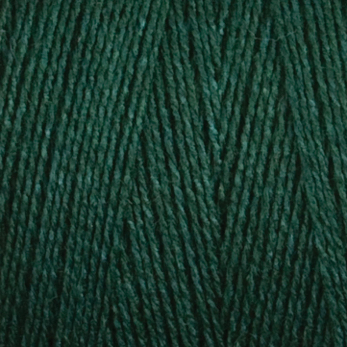 Maurice Brassard Yarn Vert Foncé 8/2 Bamboo Yarn | Tube