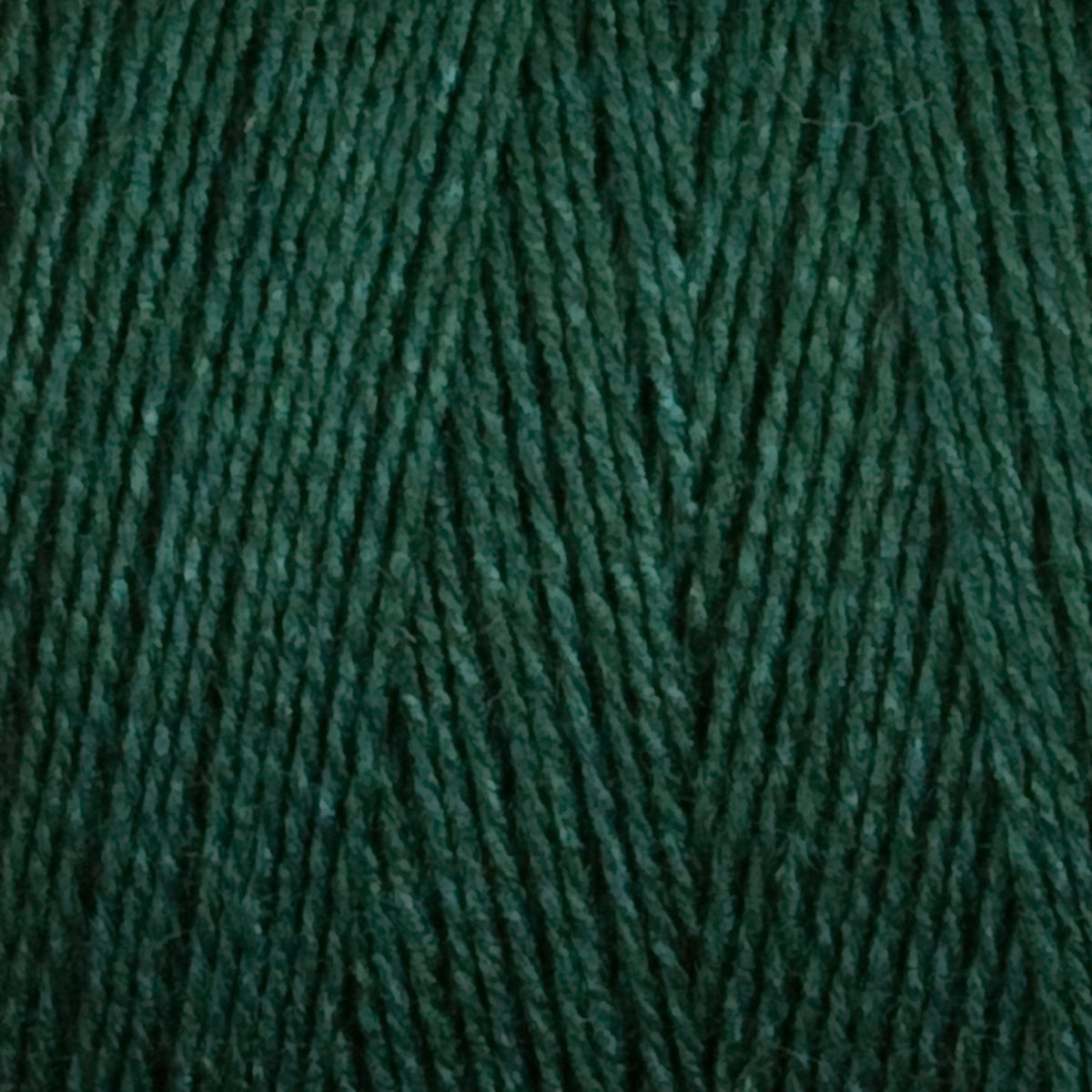 Close-up of Maurice Brassard 8/2 Tencel Yarn | Mini-cone in dark green, highlighting the soft, slightly fuzzy cellulose fibers and tightly wound strands—ideal for detailed weaving projects.