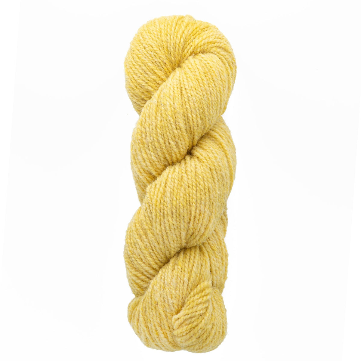 A skein of Bartlettyarns Maine Wool Yarn (Fisherman 2-Ply) by Bartlettyarns in yellow, tightly twisted, is displayed vertically against a white background.