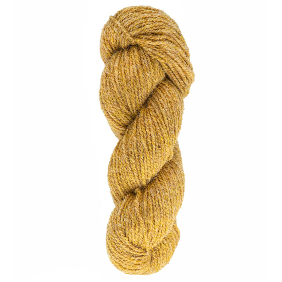 A skein of Bartlettyarns Maine Wool Yarn (Fisherman 2-Ply) in mustard yellow is tightly twisted into a coil against a white background.