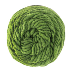 Brown Sheep Yarn Kiwi Lamb's Pride Worsted Yarn