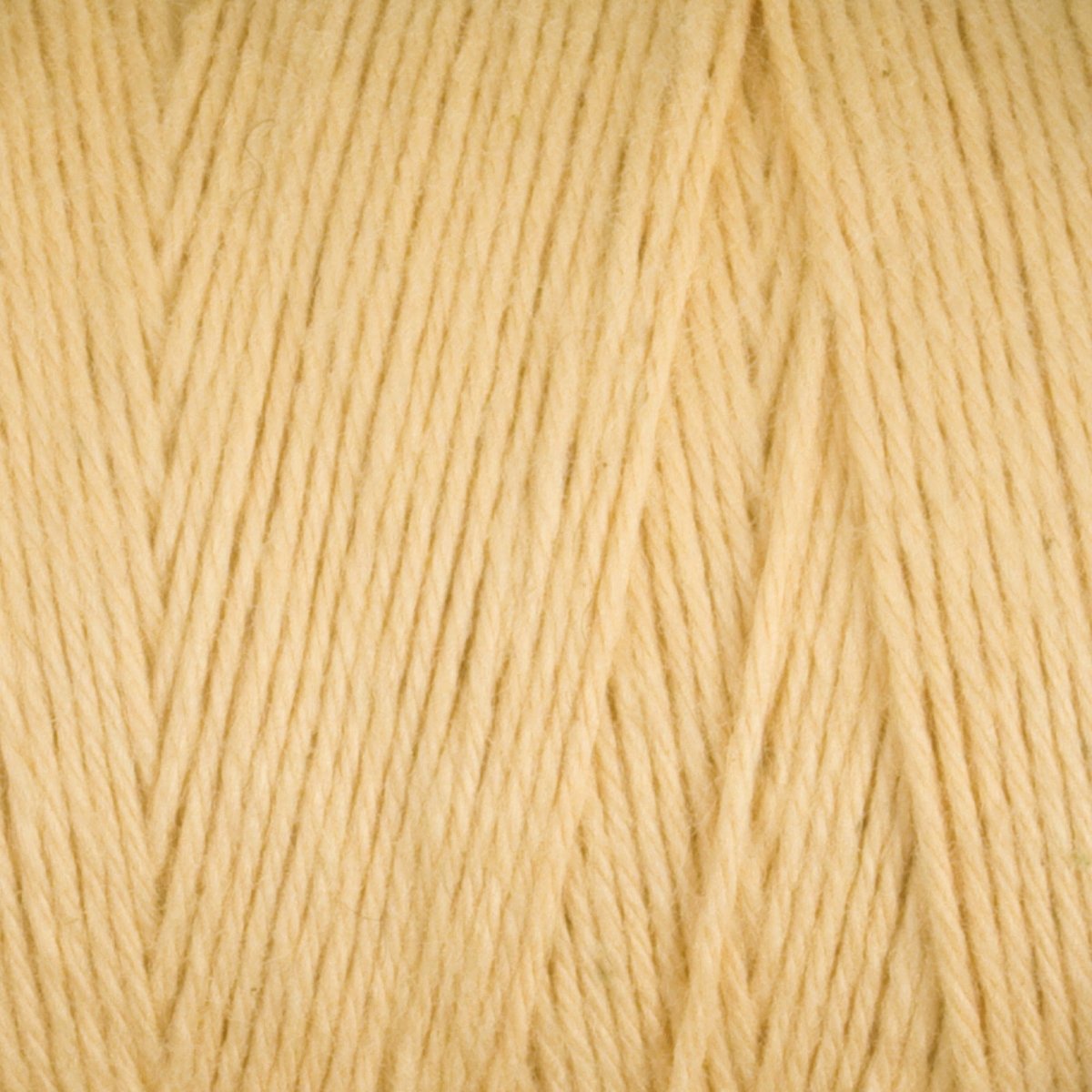 Close-up of cream-colored strands of Cotton Carpet Warp 8/4 by Great Northern Weaving, arranged in parallel to showcase the texture and fibers—an essential weaving supply, perfect for crafting durable rag rugs.