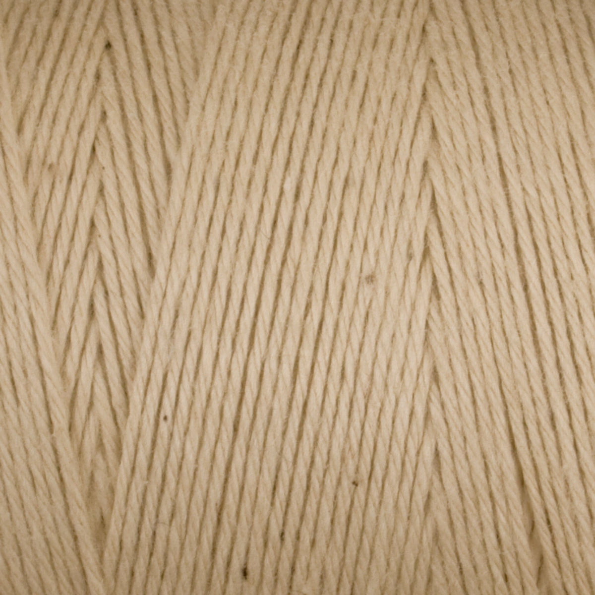 Close-up of Great Northern Weaving Cotton Carpet Warp 8/4 in beige, showing 4-ply cotton yarn wound in parallel layers with visible texture and fibers.