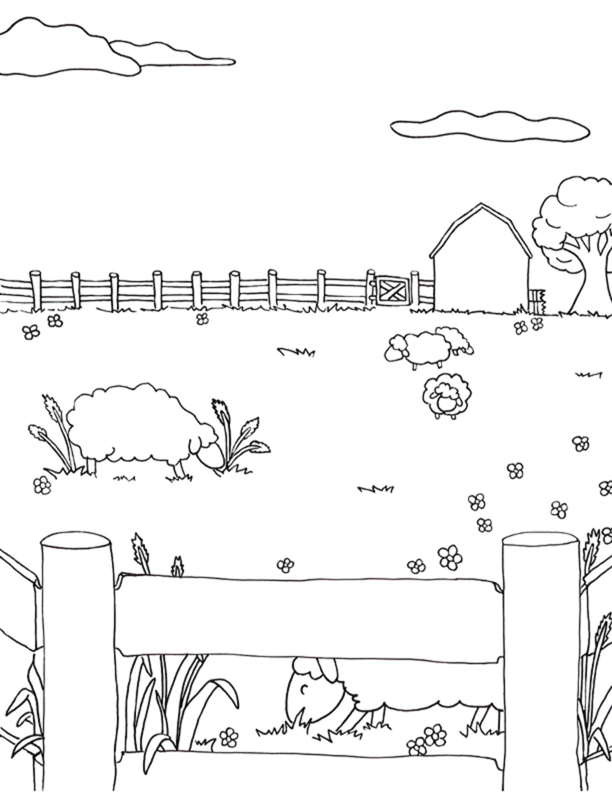 Halcyon Yarn Books Halcyon Yarn Coloring Book!