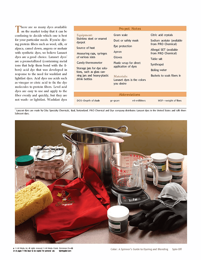 Long Thread Media Books Spin-Off Presents: A Spinner's Guide to Dyeing and Blending: eBook Printed Copy