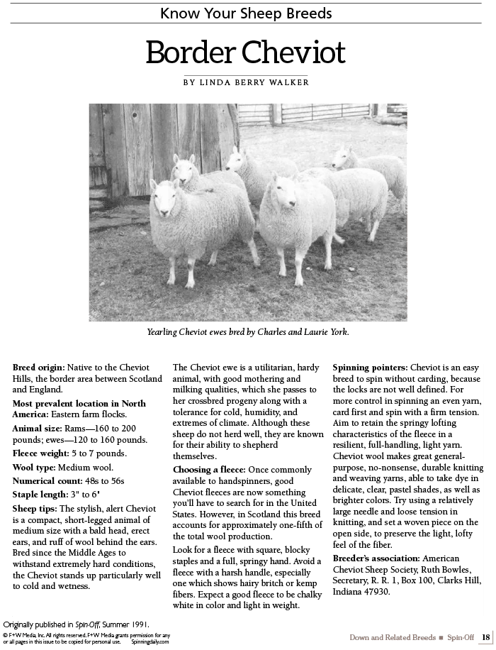 Long Thread Media Books Spin Off Presents: Down and Related Breeds - eBook Printed Copy