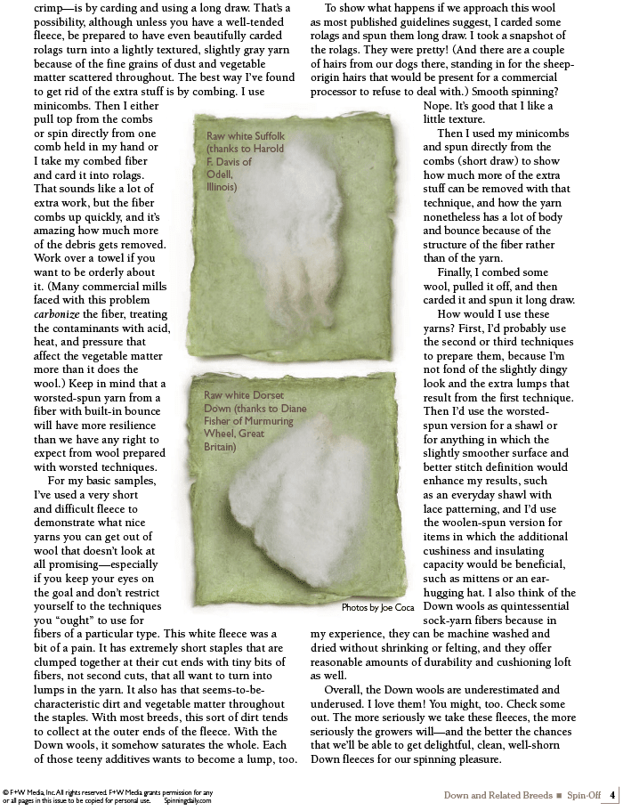 Long Thread Media Books Spin Off Presents: Down and Related Breeds - eBook Printed Copy