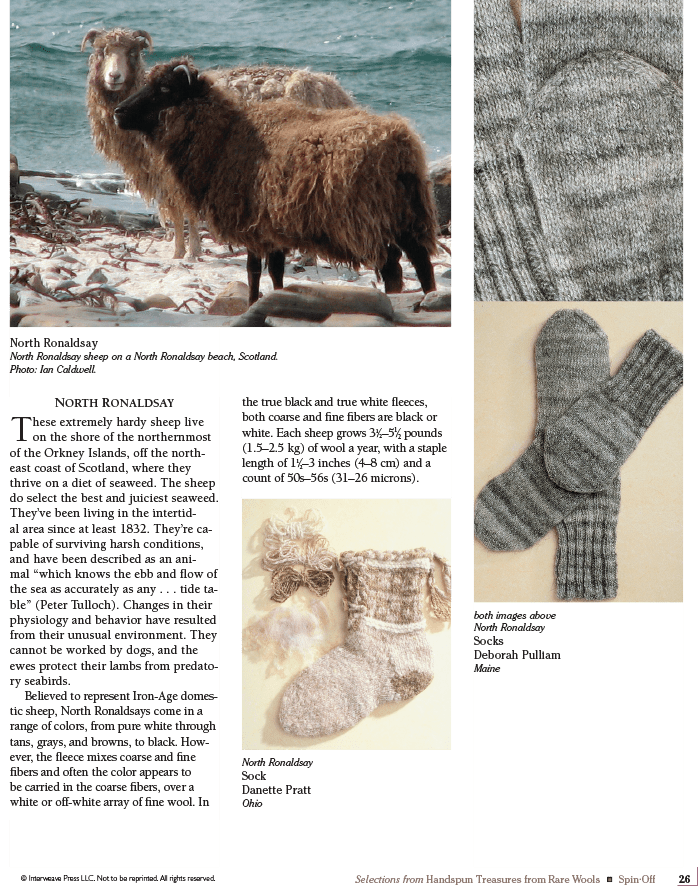 Long Thread Media Books Spin Off Presents: Selections from Handspun - Treasures from Rare Wools - eBook Printed Copy