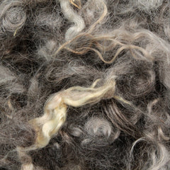 Close-up of Prairie Lake Farm's Kid Mohair Locks & Loose Fiber (sold by the ounce), showing unprocessed, curly fibers from angora goats in natural gray, brown, and cream tones with a tangled texture and color variation.