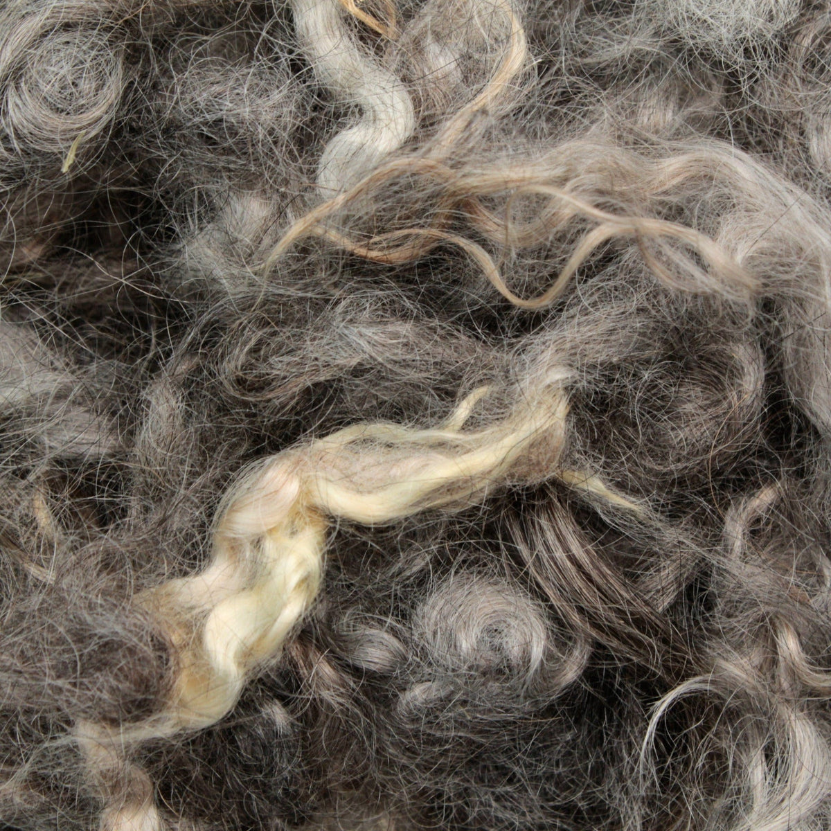 Close-up of Prairie Lake Farm's Kid Mohair Locks & Loose Fiber (sold by the ounce), featuring tangled, curly fibers in gray and cream tones, highlighting their soft texture and natural color variation.