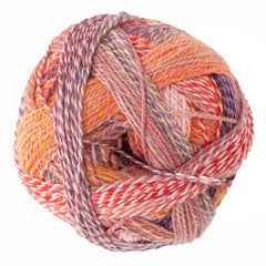 Skacel Yarn 2546 Zauberball Starke 6