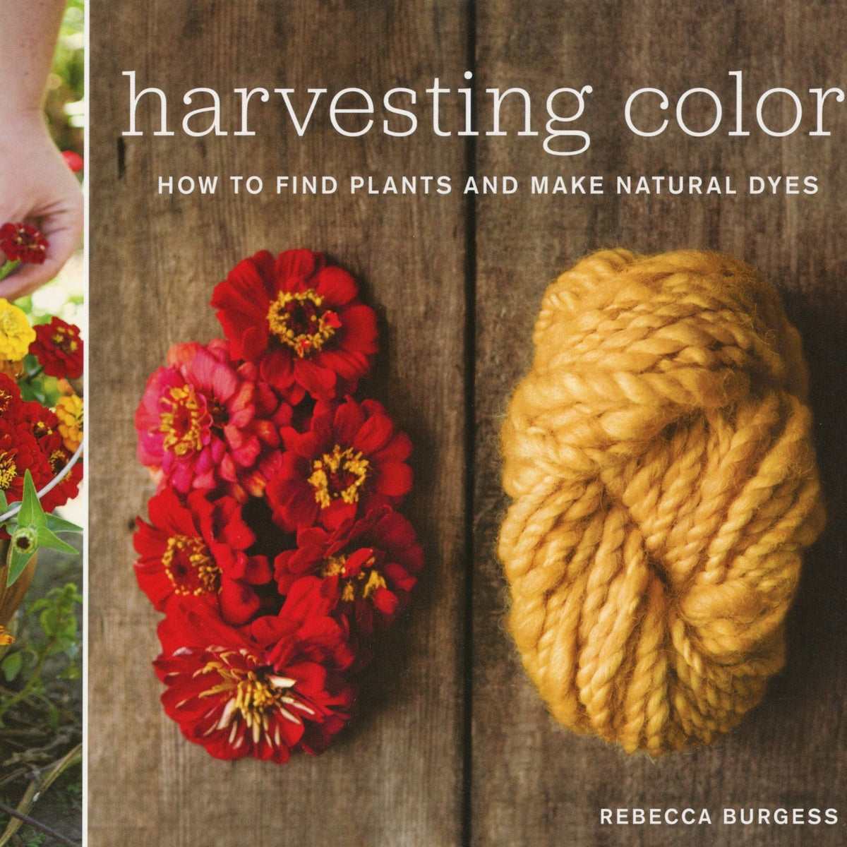 Workman Publishing - Storey Books Harvesting Color: How to Find Plants and Make Natural Dyes