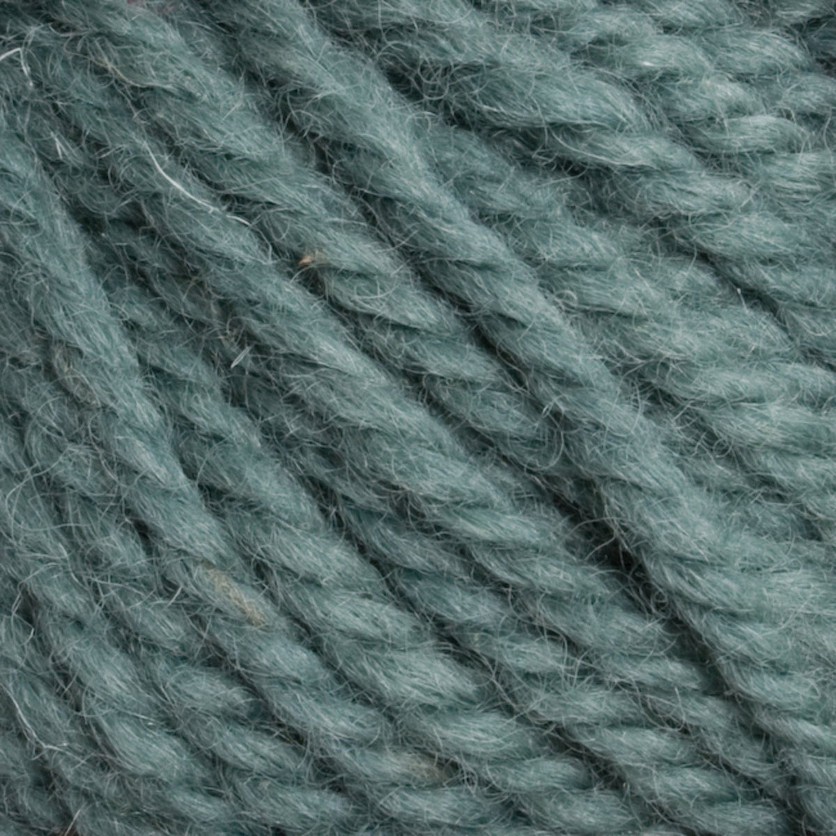 Caledonian Dye Works Yarn 1250 Halcyon Yarn Classic Rug Wool | Skein